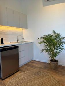 DunwichにあるBeer n Bed - Brewery Custodian for the Nightのシンクとヤシの木が植えられたキッチン +11枚の写真