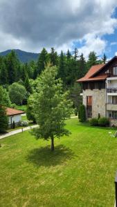 a tree in a yard in front of a building at Pinewood ANG Apartment, Semiramida Borovets Hills in Borovets