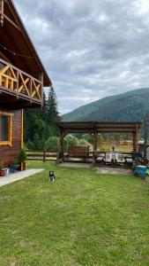 a dog sitting in the grass in front of a cabin at Котедж "Смерековий затишок" in Vorokhta