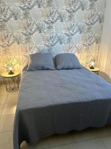 1 dormitorio con 1 cama azul y 2 almohadas en Martin Appartement Cambrai avec cour, en Cambrai