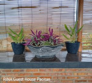 Fotografie z fotogalerie ubytování RINA Guest House Pacitan v destinaci Tamperan