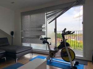 a living room with a exercise bike in front of a window at London SW Home in London