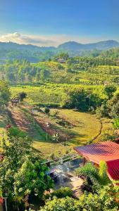 a view of a field with a building and trees at บ้านสุขอรุณ เขาค้อ Baan Sook A Roon KhaoKho in Khao Kho