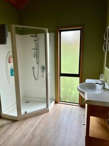 ein Bad mit einer Dusche und einem Waschbecken in der Unterkunft Peaceful cottage in beautiful landscaped native bush gully in Tamahere