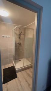 a shower with a glass door in a bathroom at Appartement privé « Rive Droite » in Serrières