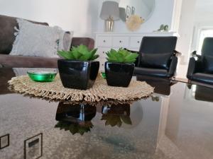 a coffee table with two plants on top of it at Albina's luxury Villa 3 bedroom in Hanioti