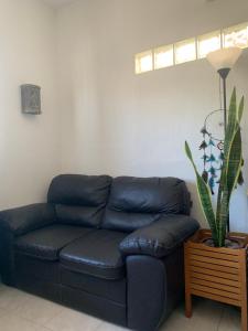 a black leather couch in a living room with a plant at Casa Madero #1, Central Studio Apartment 1 Block From Malecon in La Paz