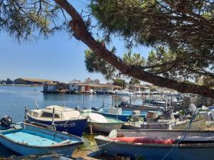 Un tas de bateaux sont amarrés dans un port dans l'établissement Maison quartier pointe-courte à Sète, à Sète