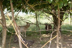 Φωτογραφία από το άλμπουμ του Chez mumu σε Frévillers