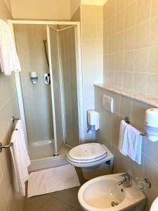a bathroom with a shower and a toilet and a sink at Hotel Sangro in Mozzagrogna