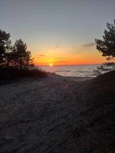 a sunset on a beach with trees and the ocean at Talsu nov Kolka Kopmītne 1-18 in Kolka