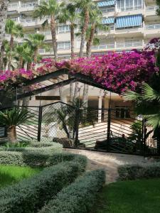 Ogród w obiekcie Campoamor Seaview