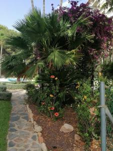 Ogród w obiekcie Campoamor Seaview