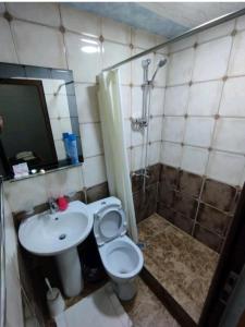 y baño con aseo, lavabo y ducha. en LiViTi en Areni