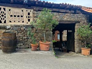 a stone building with two potted trees and a barrel at La Casa de las Chimeneas in Tudes