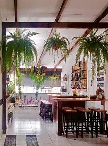 a kitchen with a bar with chairs and plants at Piccolo Bed & Breakfast in Tarapoto