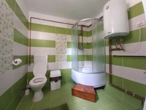 a green and white bathroom with a toilet and a shower at Pensiunea Mioritica in Sibiel