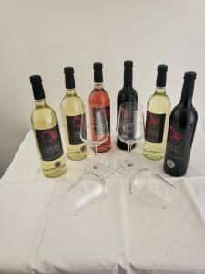 Nápoje v ubytování Weinhaus Helbig