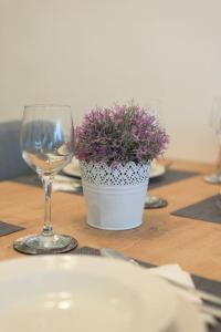 Begudes a Apartman Scala