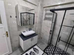 een badkamer met een wastafel en een douche bij Merkezi Çift Teraslı Ev in Istanbul