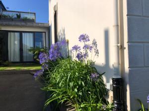 Zahrada ubytování Appartement L'Embarcadère