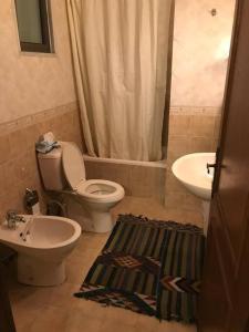 a bathroom with a toilet and a sink at 2 Bed Room Apparment in Amman - Der Ghbar in Amman