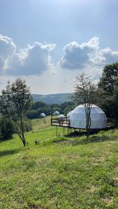 two tents on a table in a field at Sanctum Glamping in Jupâneşti
