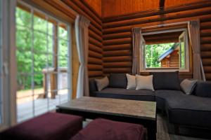 ein Wohnzimmer mit einem Sofa und einem Fenster in der Unterkunft The LODGE ABASHIRI in Abashiri