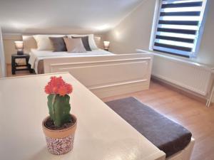 Voodi või voodid majutusasutuse International Inn toas
