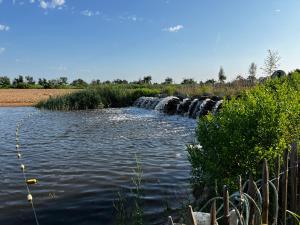 einen Fluss mit einem Wasserfall auf einem Feld in der Unterkunft Le Nid du Teich in Le Teich
