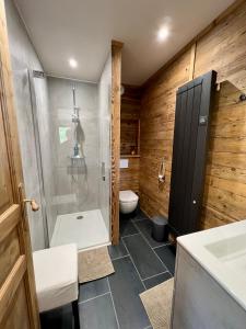 uma casa de banho com um chuveiro e um WC. em Chalet Vieux Bois, au coeur du village des Rousses em Les Rousses