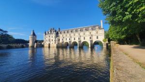 a castle sitting on the water in a river at "Ô Tour's Angels" RABELAIS in Tours