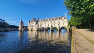 eine Burg auf dem Wasser in einem Fluss in der Unterkunft "Ô Tour's Angels" RABELAIS in Tours