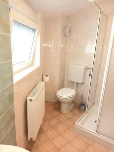 ein Bad mit einem WC, einem Fenster und einer Dusche in der Unterkunft City Nest Apartment in Kobarid