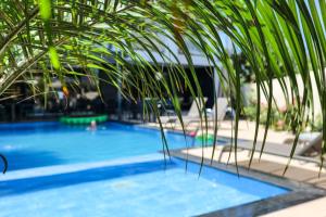 a close up of a swimming pool with a palm tree at Duka's Hotel in Ksamil