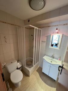 a bathroom with a toilet and a shower and a sink at ADANIA BIS in Grzybowo