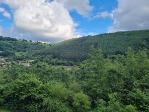 a view of a hill with trees on it at Modern 4-Bedroom Townhouse With Private Garden in Abertillery
