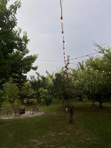 Zahrada ubytování Villa Flamingo B&B
