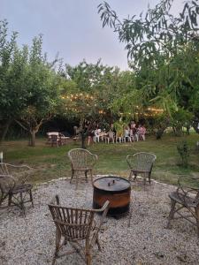 Zahrada ubytování Villa Flamingo B&B