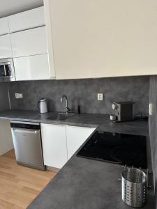 Kuchyň nebo kuchyňský kout v ubytování Apartmán ERUDITO XXVI centrum Jihlava