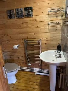a bathroom with a white sink and a toilet at Morlais Log Cabin in Lyme Regis