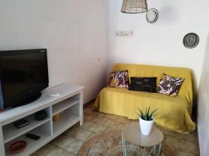 ein Wohnzimmer mit einem gelben Sofa und einem TV in der Unterkunft Pavillon les pieds dans l'eau in Valras-Plage