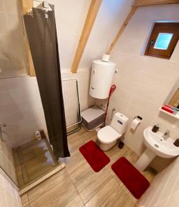 a bathroom with a toilet and a sink at Albero Casa in Cetinje