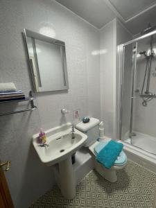 W łazience znajduje się umywalka, toaleta i prysznic. w obiekcie Seascape w mieście Barmouth