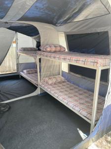 Letto o letti a castello in una camera di Santorini Camping & Hostel