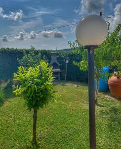 a lamp in a garden with a small tree at Sognando il cilento in Giungano