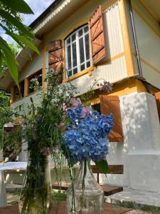 two vases filled with blue flowers in front of a house at Casa del Castagno: un nido nel castagneto in Pistoia