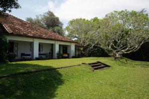 Lunuganga Estate في بينتوتا: منزل فيه شجره في الساحه