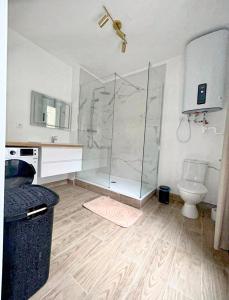 y baño con ducha y aseo. en Maison Coty - Hypercentre/Plage en Le Havre
