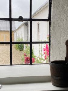 Bregnedalsgaard Bondegårdsferie外面的花园